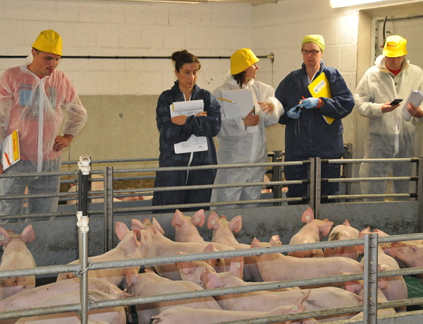 Mittels Chgecklisten wird in der Praxis auf landwirtschaftlichen Betrieben das Erlernte geübt und vertieft